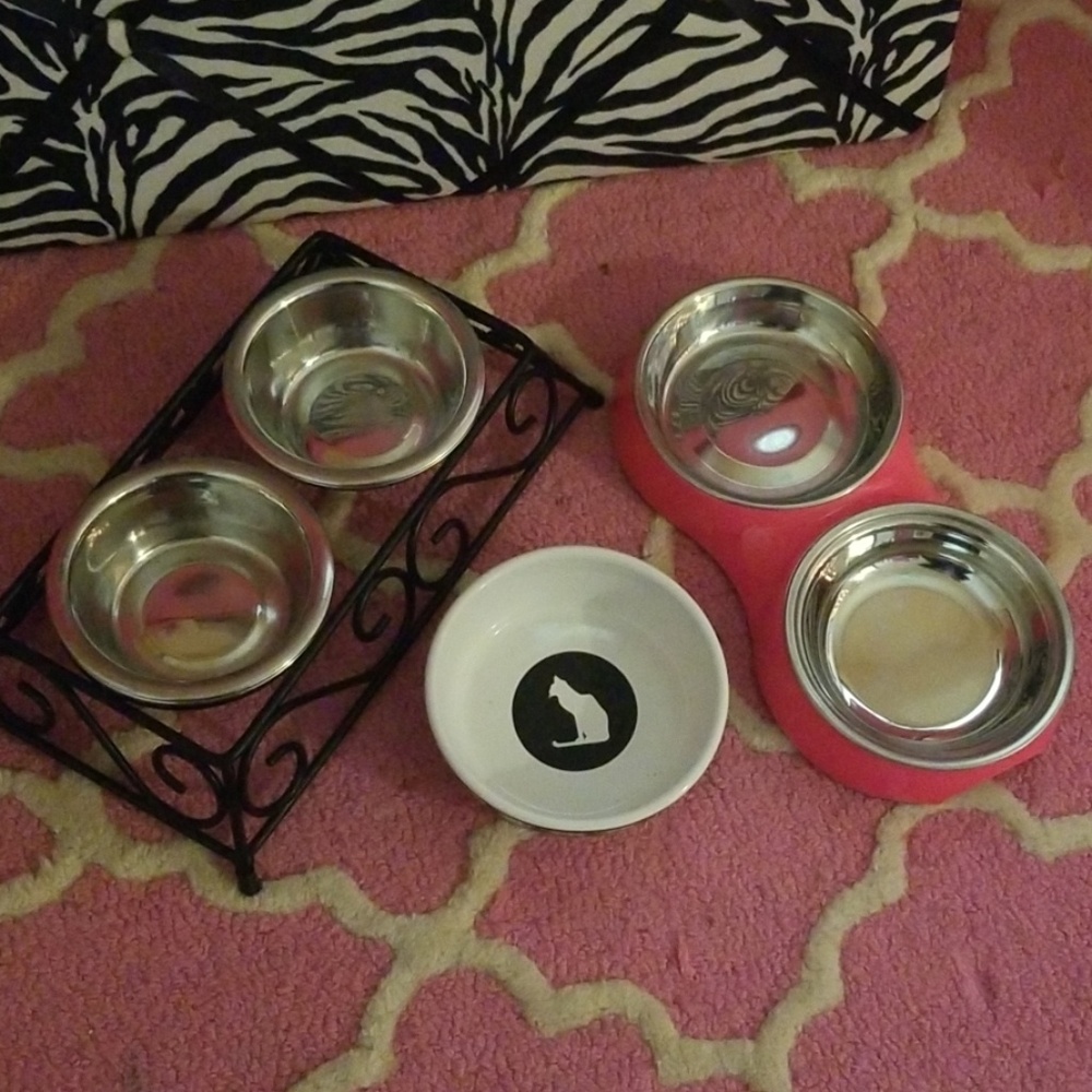 Cat bowls